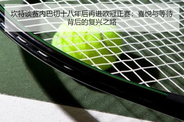 坎特谈费内巴切十八年后再进欧冠正赛：喜悦与等待背后的复兴之路